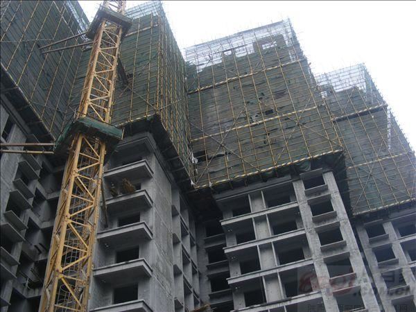 項(xiàng)目展示